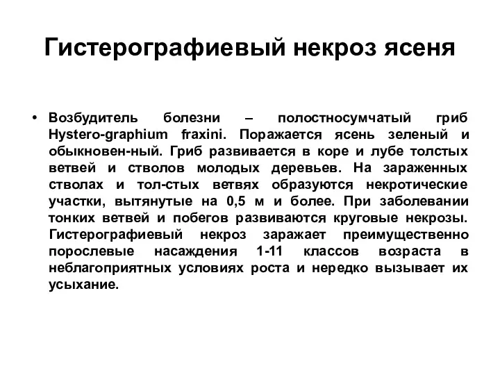 Гистерографиевый некроз ясеня Возбудитель болезни – полостносумчатый гриб Hystero-graphium fraxini.