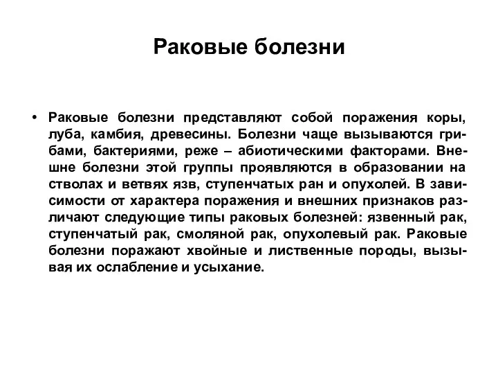 Раковые болезни Раковые болезни представляют собой поражения коры, луба, камбия,