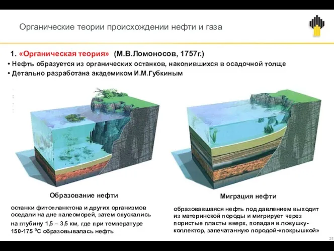 Органические теории происхождении нефти и газа Образование нефти останки фитопланктона