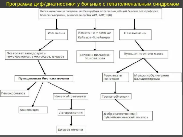 Программа диф/диагностики у больных с гепатолиенальным синдромом