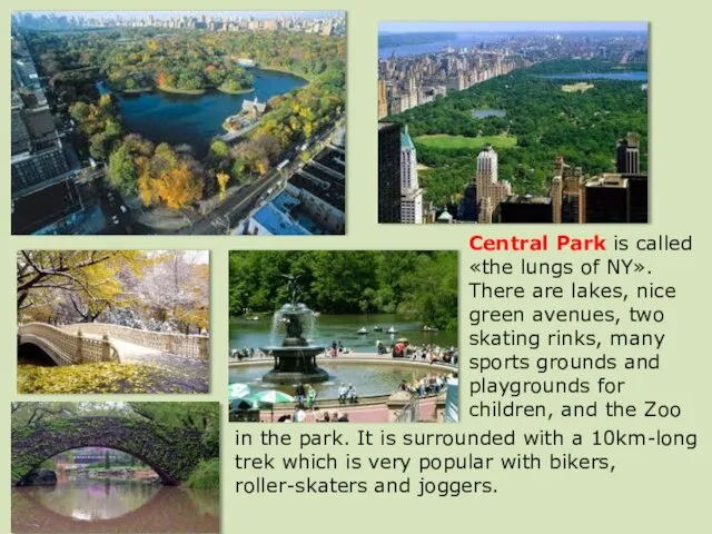 Central Park is called «the lungs of NY». There are