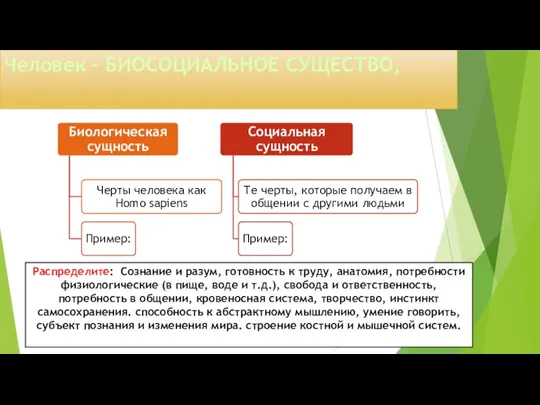 Человек – БИОСОЦИАЛЬНОЕ СУЩЕСТВО, Распределите: Сознание и разум, готовность к