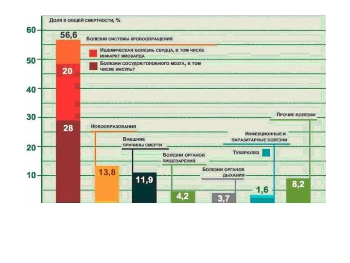 Причины смертности населения в России, 2007 г.