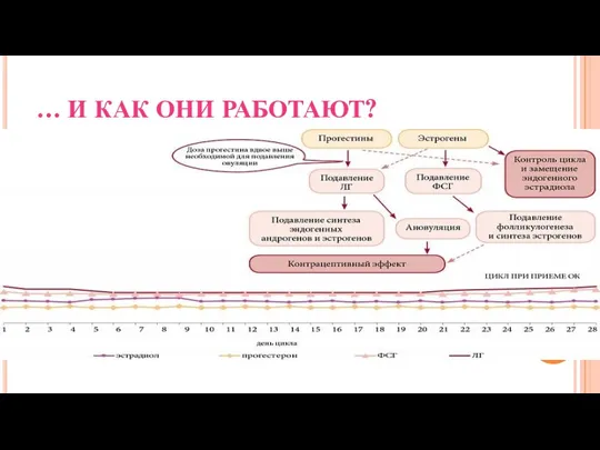 … И КАК ОНИ РАБОТАЮТ?