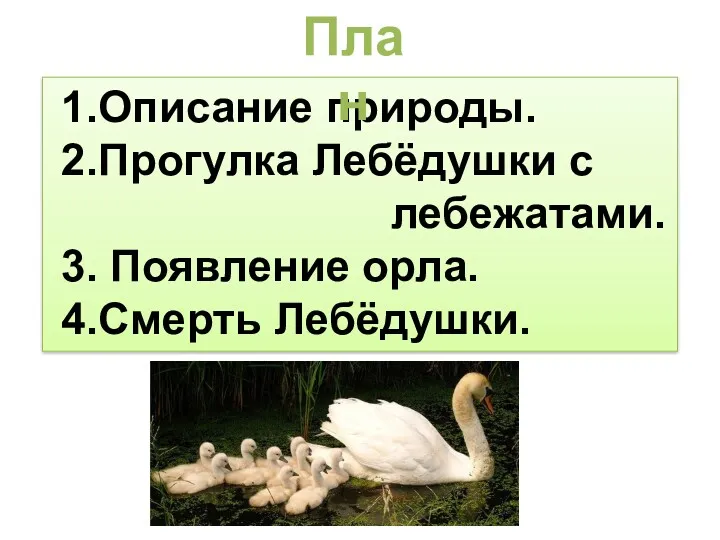 1.Описание природы. 2.Прогулка Лебёдушки с лебежатами. 3. Появление орла. 4.Смерть Лебёдушки. План