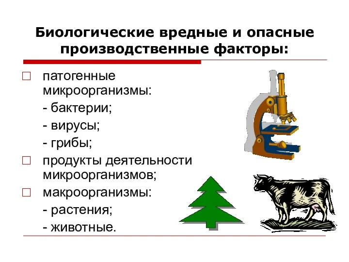 Биологические вредные и опасные производственные факторы: патогенные микроорганизмы: - бактерии;