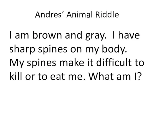 Andres’ Animal Riddle I am brown and gray. I have