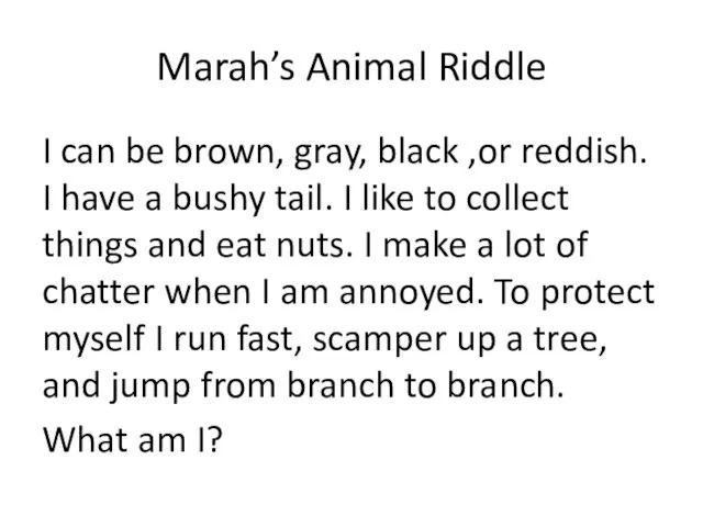 Marah’s Animal Riddle I can be brown, gray, black ,or