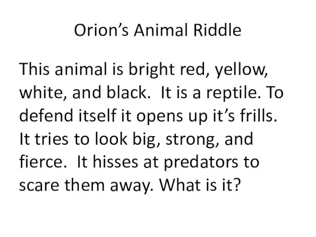 Orion’s Animal Riddle This animal is bright red, yellow, white,