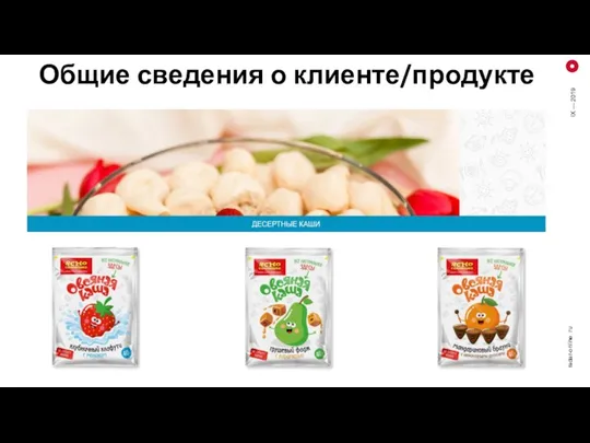 Общие сведения о клиенте/продукте radar-online. ru IX — 2019