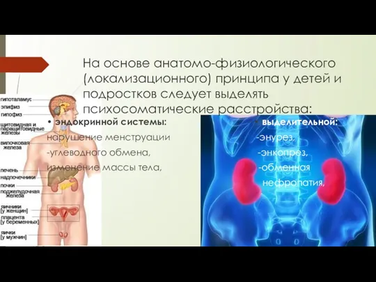 На основе анатомо-физиологического (локализационного) принципа у детей и подростков следует