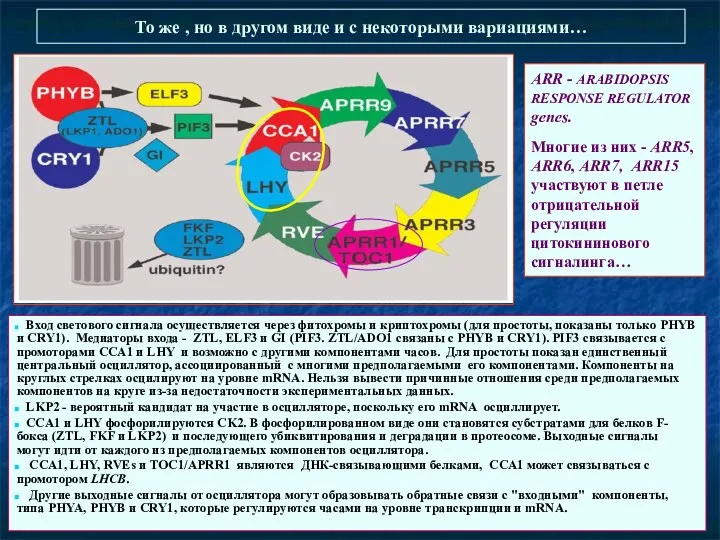 То же , но в другом виде и с некоторыми