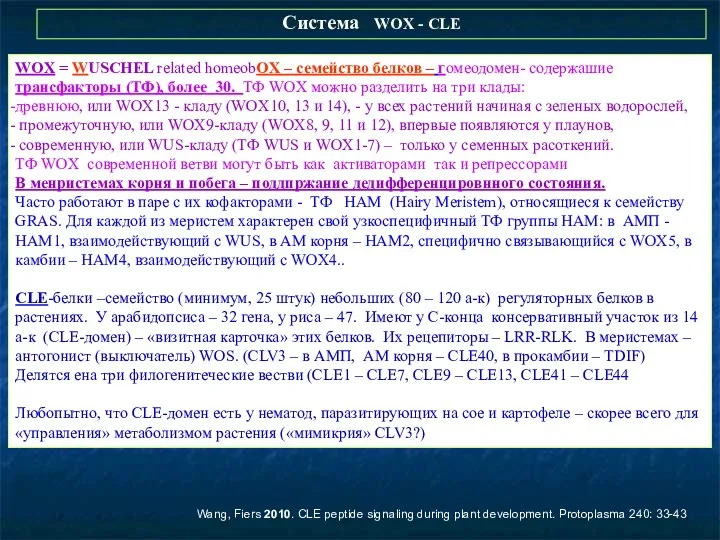 Система WOX - CLE Wang, Fiers 2010. CLE peptide signaling during plant development.