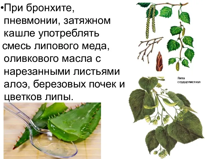 При бронхите, пневмонии, затяжном кашле употреблять смесь липового меда, оливкового