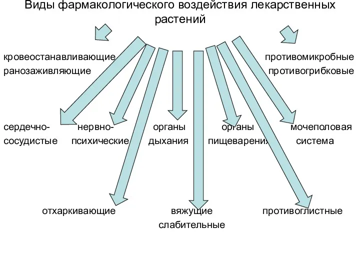 Виды фармакологического воздействия лекарственных растений кровеостанавливающие противомикробные ранозаживляющие противогрибковые сердечно-