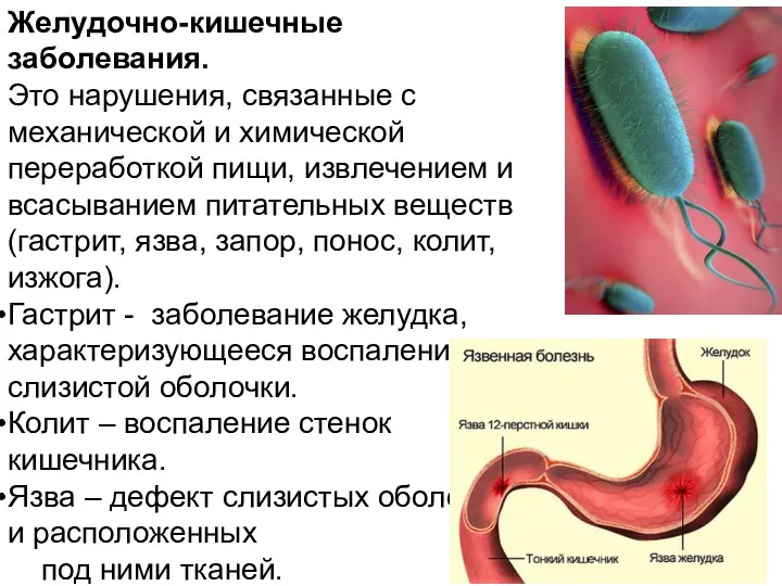 Желудочно-кишечные заболевания. Это нарушения, связанные с механической и химической переработкой