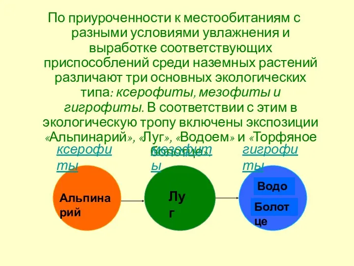 По приуроченности к местообитаниям с разными условиями увлажнения и выработке