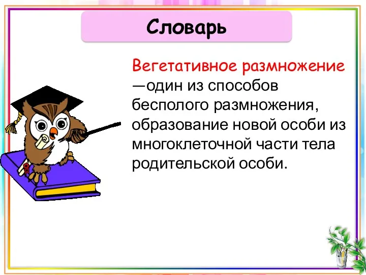 Словарь Вегетативное размножение —один из способов бесполого размножения, образование новой