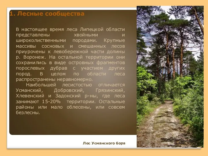 В настоящее время леса Липецкой области представлены хвойными и широколиственными