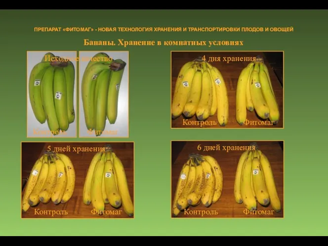 Бананы. Хранение в комнатных условиях ПРЕПАРАТ «ФИТОМАГ» - НОВАЯ ТЕХНОЛОГИЯ