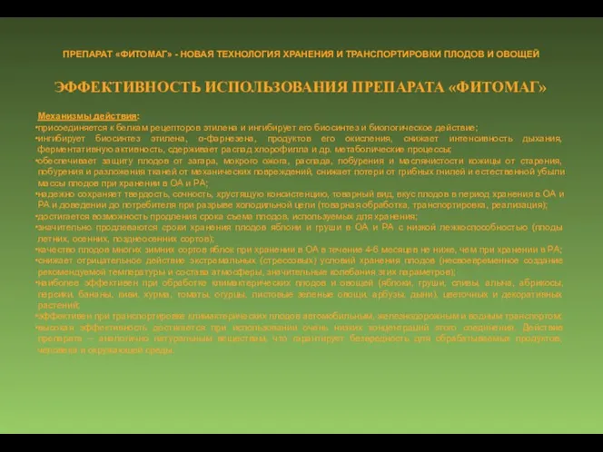 ЭФФЕКТИВНОСТЬ ИСПОЛЬЗОВАНИЯ ПРЕПАРАТА «ФИТОМАГ» Механизмы действия: присоединяется к белкам рецепторов