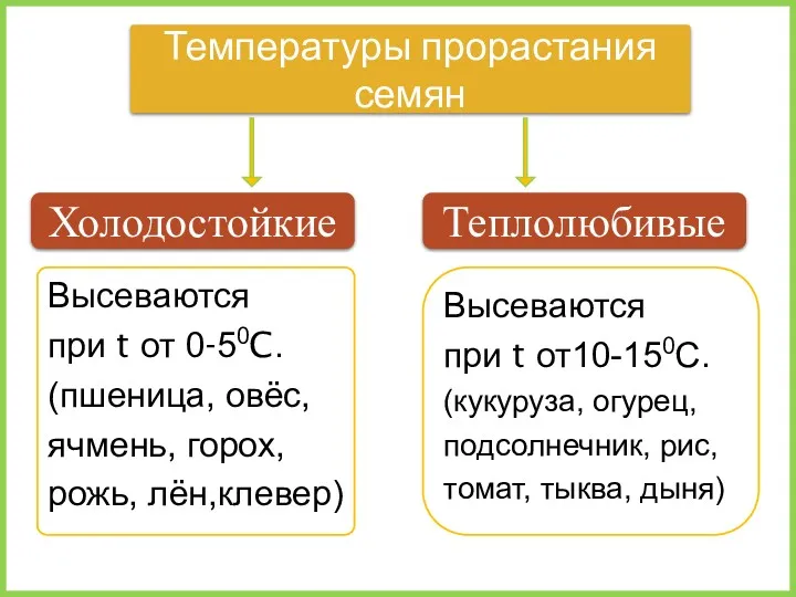 Высеваются при t от 0-50C. (пшеница, овёс, ячмень, горох, рожь,