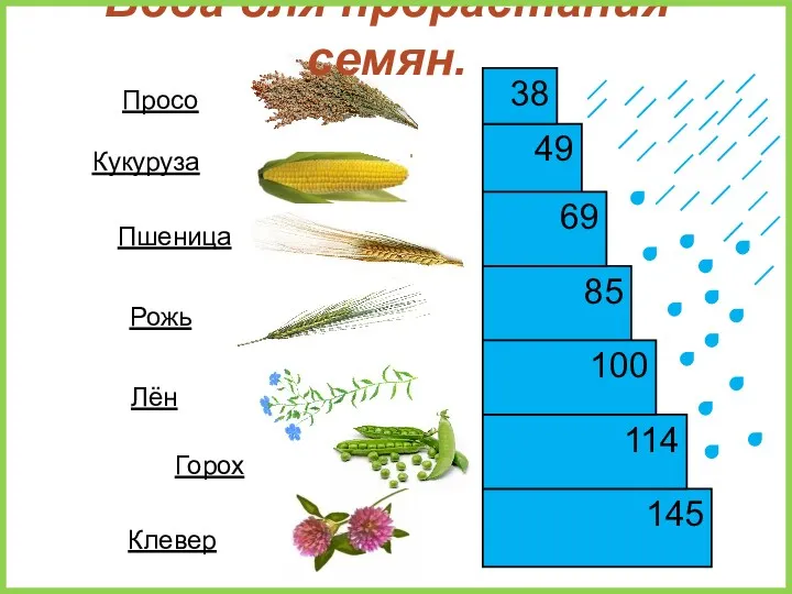 145 49 85 69 114 38 100 Кукуруза Пшеница Рожь