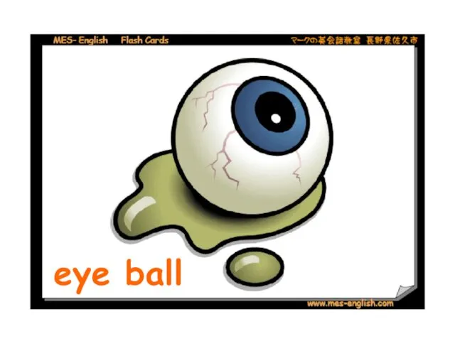 eye ball