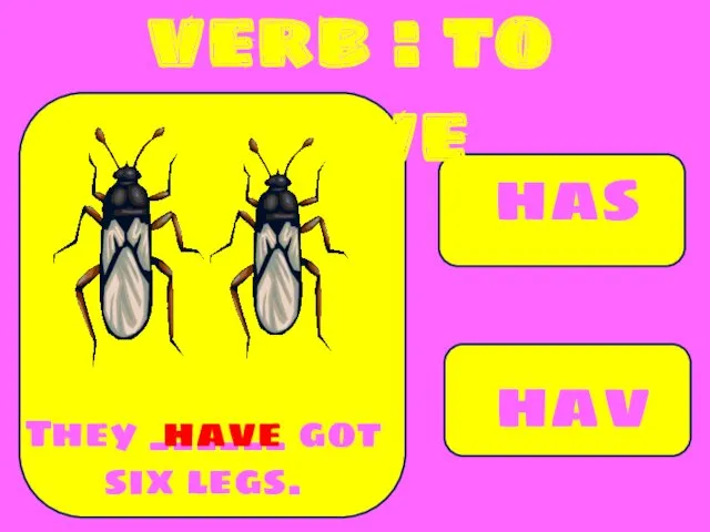 has have They ______ got six legs. have verb : to have