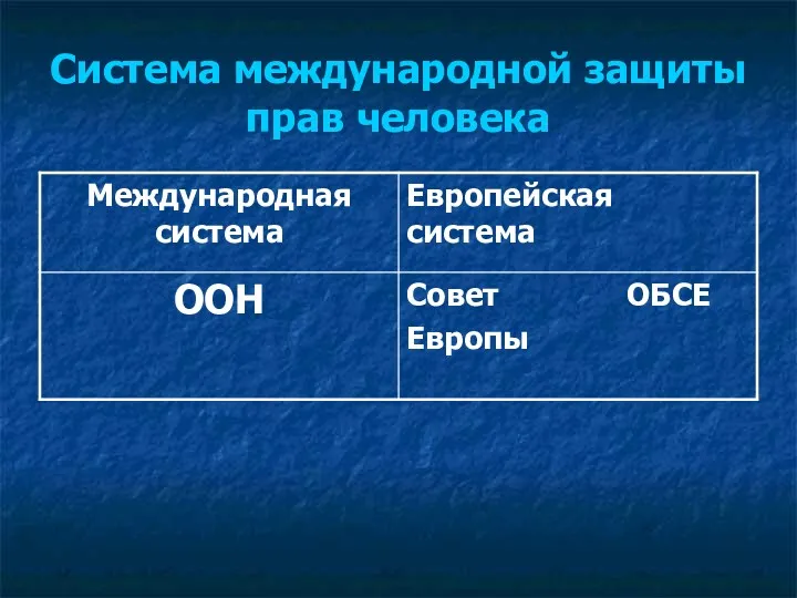 Система международной защиты прав человека