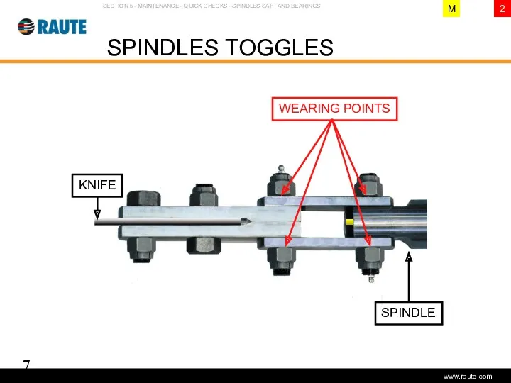 Version 1.0 - June 2006 SPINDLES TOGGLES SECTION 5 -
