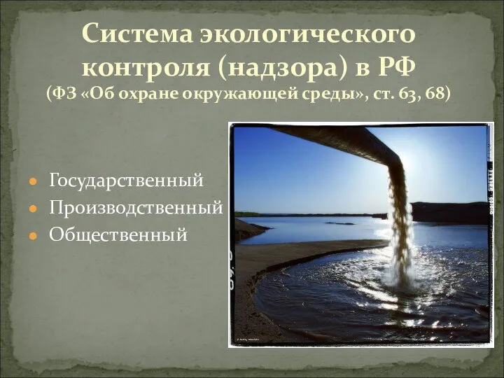 Государственный Производственный Общественный Система экологического контроля (надзора) в РФ (ФЗ