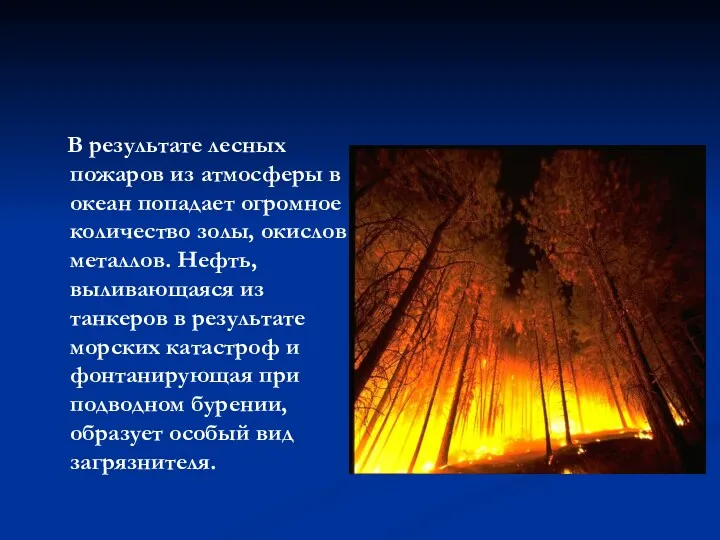 В результате лесных пожаров из атмосферы в океан попадает огромное