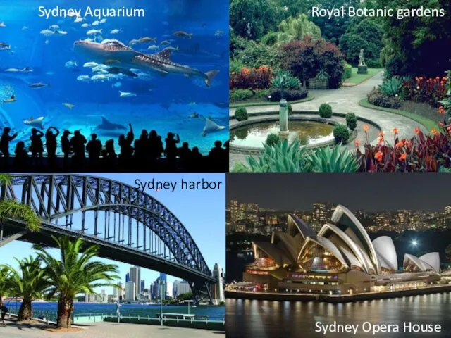 Sydney Aquarium Sydney harbor Royal Botanic gardens Sydney Opera House