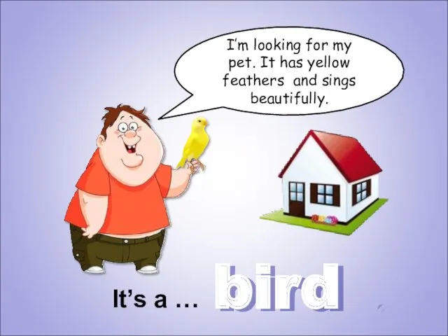 bird I’m looking for my pet. It has yellow feathers and sings beautifully. It’s a …