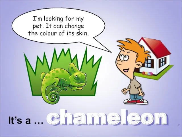 chameleon I’m looking for my pet. It can change the