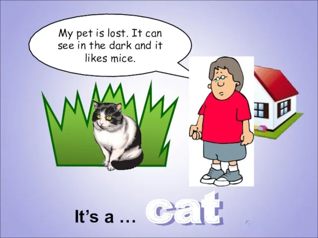 cat My pet is lost. It can see in the