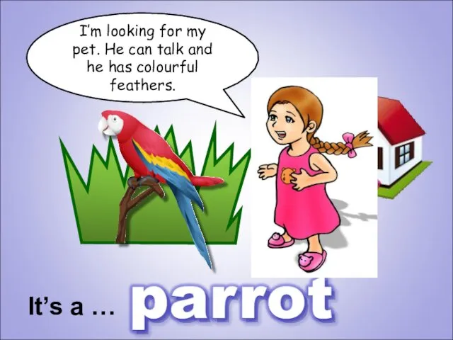 I’m looking for my pet. He can talk and he has colourful feathers. It’s a …