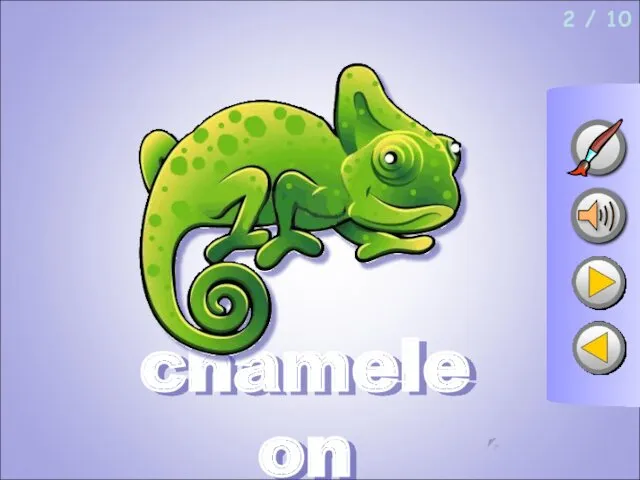 2 / 10 chameleon