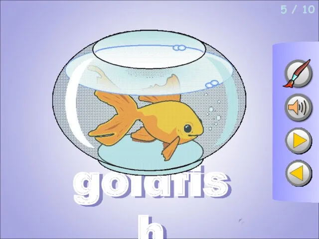 5 / 10 goldfish