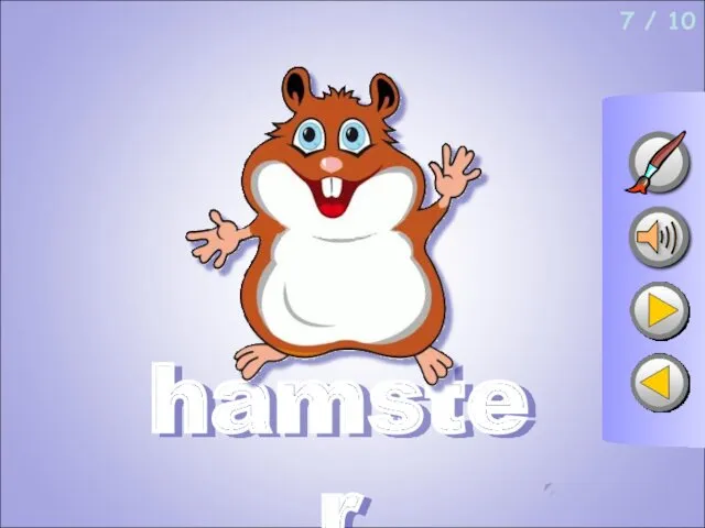 7 / 10 hamster