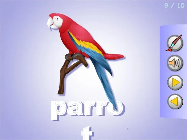 9 / 10 parrot