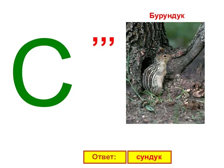 С ,,, Бурундук Ответ: сундук