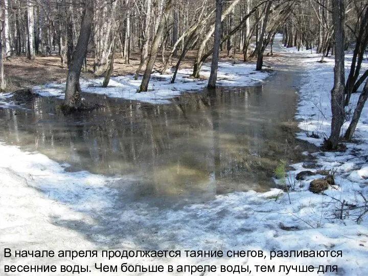 В начале апреля продолжается таяние снегов, разливаются весенние воды. Чем