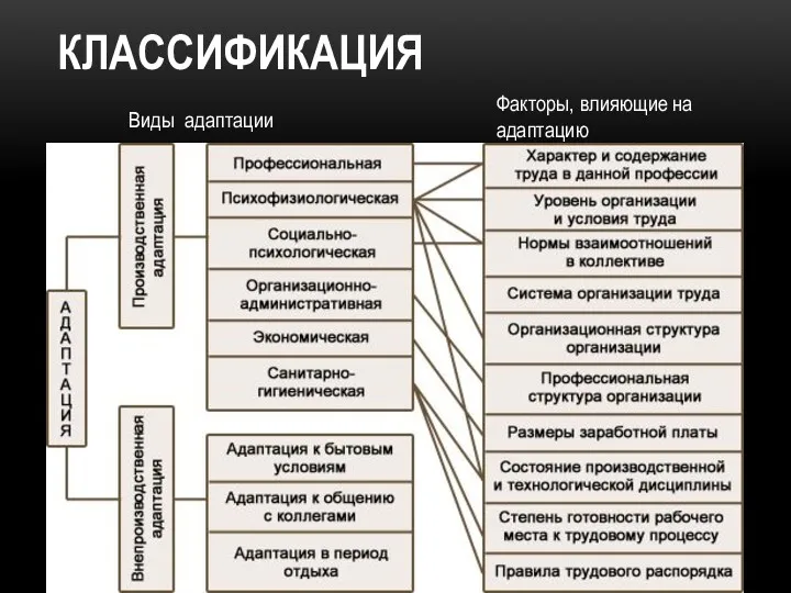 КЛАССИФИКАЦИЯ Виды адаптации Факторы, влияющие на адаптацию