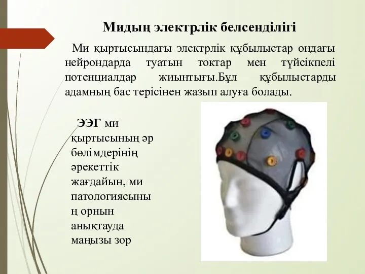 Мидың электрлік белсенділігі Ми қыртысындағы электрлік құбылыстар ондағы нейрондарда туатын