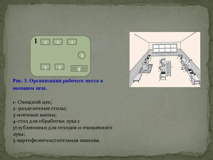 Рис. 3. Организация рабочего места в овощном цехе. 1- Овощной