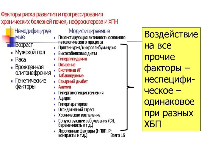 Воздействие на все прочие факторы – неспецифи-ческое – одинаковое при разных ХБП