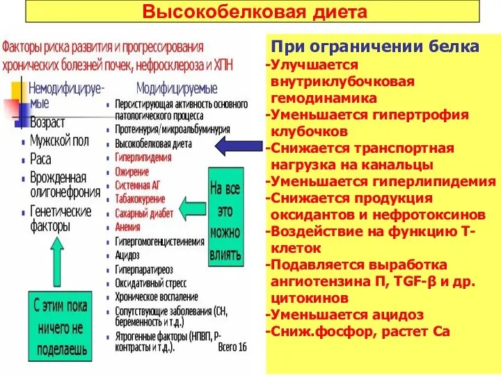 Высокобелковая диета При ограничении белка Улучшается внутриклубочковая гемодинамика Уменьшается гипертрофия