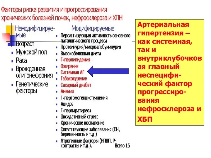 Артериальная гипертензия –как системная, так и внутриклубочковая главный неспецифи-ческий фактор прогрессиро-вания нефросклероза и ХБП